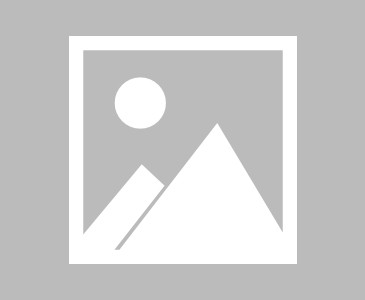 查一下延安市的疫情情况(延安疫情实时动态)